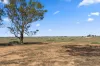 Lot 217 Bower Boundary Road, Steinfeld, SA 5356-Image