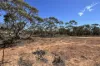 Lot 217 Bower Boundary Road, Steinfeld, SA 5356-Image