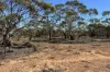 Lot 217 Bower Boundary Road, Steinfeld, SA 5356-Image