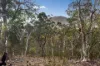 Lot 22 Glen Davis Road, Capertee, NSW 2846