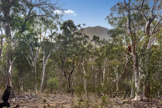 Lot 22 Glen Davis Road, Capertee, NSW 2846