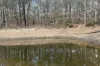 Lot 22 Glen Davis Road, Capertee, NSW 2846-Image
