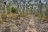 Lot 22 Glen Davis Road, Capertee, NSW 2846-Image