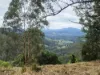 Lot 220 Comboyne Road, Byabarra, NSW 2446