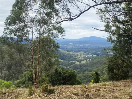 Lot 220 Comboyne Road, Byabarra, NSW 2446