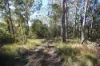 Lot 220 Comboyne Road, Byabarra, NSW 2446-Image
