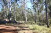 Lot 220 Comboyne Road, Byabarra, NSW 2446-Image