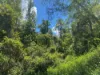 Lot 220 Comboyne Road, Byabarra, NSW 2446-Image