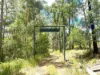 Lot 220 Comboyne Road, Byabarra, NSW 2446-Image
