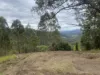 Lot 220 Comboyne Road, Byabarra, NSW 2446-Image