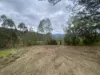 Lot 220 Comboyne Road, Byabarra, NSW 2446-Image