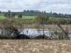 Lot 2422, Jackson Road, Mindarra, WA 6503-Image