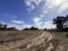 Lot 2422, Jackson Road, Mindarra, WA 6503-Image