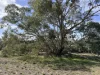Lot 2422, Jackson Road, Mindarra, WA 6503-Image