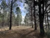 Lot 2422, Jackson Road, Mindarra, WA 6503-Image