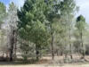 Lot 2422, Jackson Road, Mindarra, WA 6503-Image