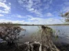 Lot 2422, Jackson Road, Mindarra, WA 6503-Image