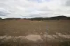 Lot 25 Bruxner Way, Mingoola, NSW 4380-Image