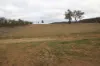 Lot 25 Bruxner Way, Mingoola, NSW 4380-Image
