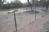 Lot 25 Bruxner Way, Mingoola, NSW 4380-Image