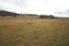 Lot 25 Bruxner Way, Mingoola, NSW 4380-Image