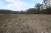 Lot 25 Bruxner Way, Mingoola, NSW 4380-Image