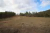 Lot 25 Bruxner Way, Mingoola, NSW 4380-Image
