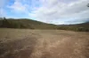 Lot 25 Bruxner Way, Mingoola, NSW 4380-Image