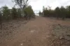 Lot 25 Bruxner Way, Mingoola, NSW 4380-Image