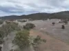 Lot 25 Bruxner Way, Mingoola, NSW 4380-Image