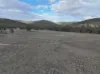 Lot 25 Bruxner Way, Mingoola, NSW 4380-Image