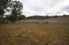 Lot 25 Bruxner Way, Mingoola, NSW 4380-Image