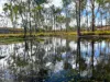 Lot 258, Thies Road, Brooklands, Qld 4615
