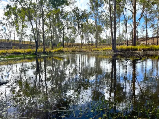 Lot 258, Thies Road, Brooklands, Qld 4615