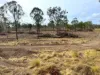 Lot 258, Thies Road, Brooklands, Qld 4615-Image