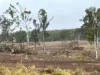 Lot 258, Thies Road, Brooklands, Qld 4615-Image