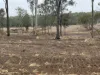 Lot 258, Thies Road, Brooklands, Qld 4615-Image