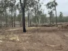 Lot 258, Thies Road, Brooklands, Qld 4615-Image