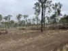 Lot 258, Thies Road, Brooklands, Qld 4615-Image