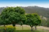 Lot 28 Waterfall Creek Road, Maroon, Qld 4310-Image