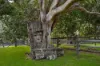 Lot 28 Waterfall Creek Road, Maroon, Qld 4310-Image