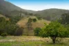 Lot 28 Waterfall Creek Road, Maroon, Qld 4310-Image