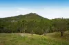 Lot 28 Waterfall Creek Road, Maroon, Qld 4310-Image