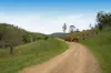 Lot 28 Waterfall Creek Road, Maroon, Qld 4310-Image