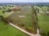 Lot  300 V&A Lane Penola, Coonawarra, SA 5263