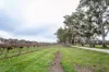 Lot  300 V&A Lane Penola, Coonawarra, SA 5263-Image