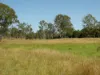 Lot 31 Brooweena Woolooga Road, Teebar, Qld 4620-Image