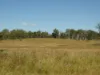 Lot 31 Brooweena Woolooga Road, Teebar, Qld 4620-Image