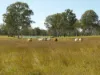 Lot 31 Brooweena Woolooga Road, Teebar, Qld 4620-Image