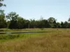 Lot 31 Brooweena Woolooga Road, Teebar, Qld 4620-Image